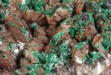 Malachite, Selenite and Ferroan Dolomite Association - Morocco #57365-1